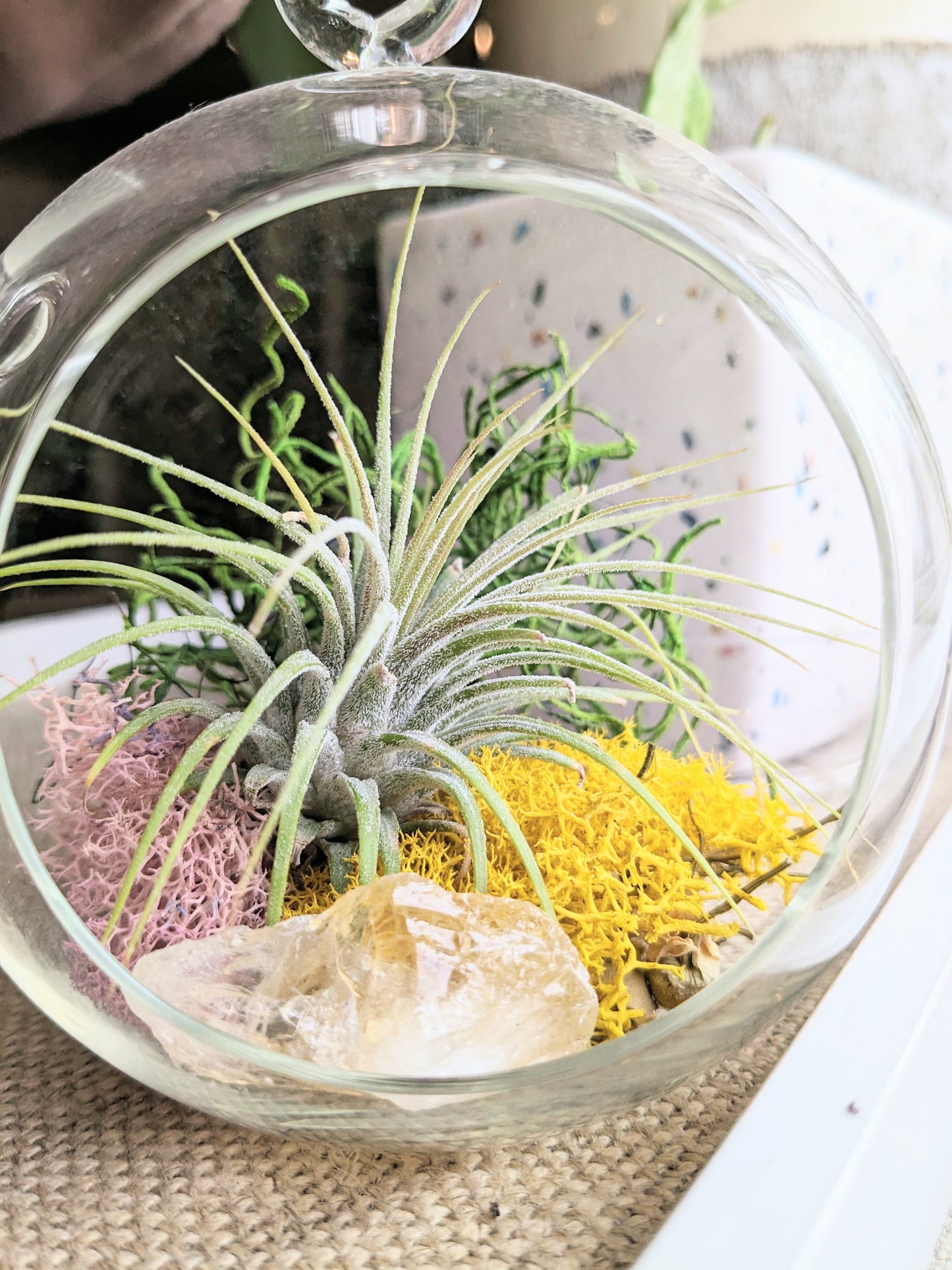 The Sunbeam | Classic Orb Terrarium