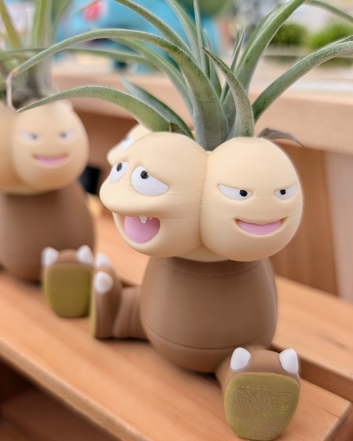 Face Trio Plant Monster Air Plant Holder