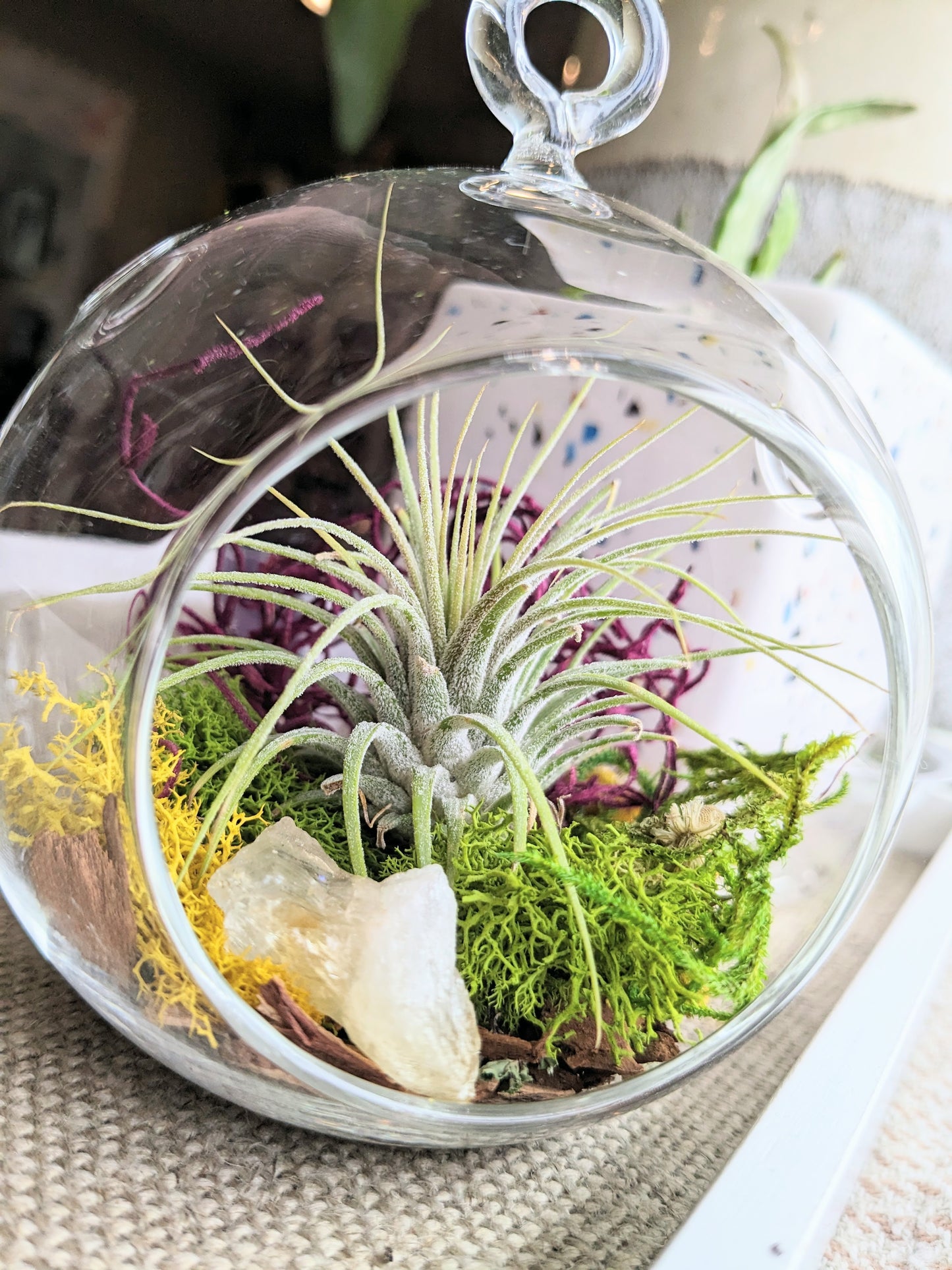 The Sunbeam | Classic Orb Terrarium