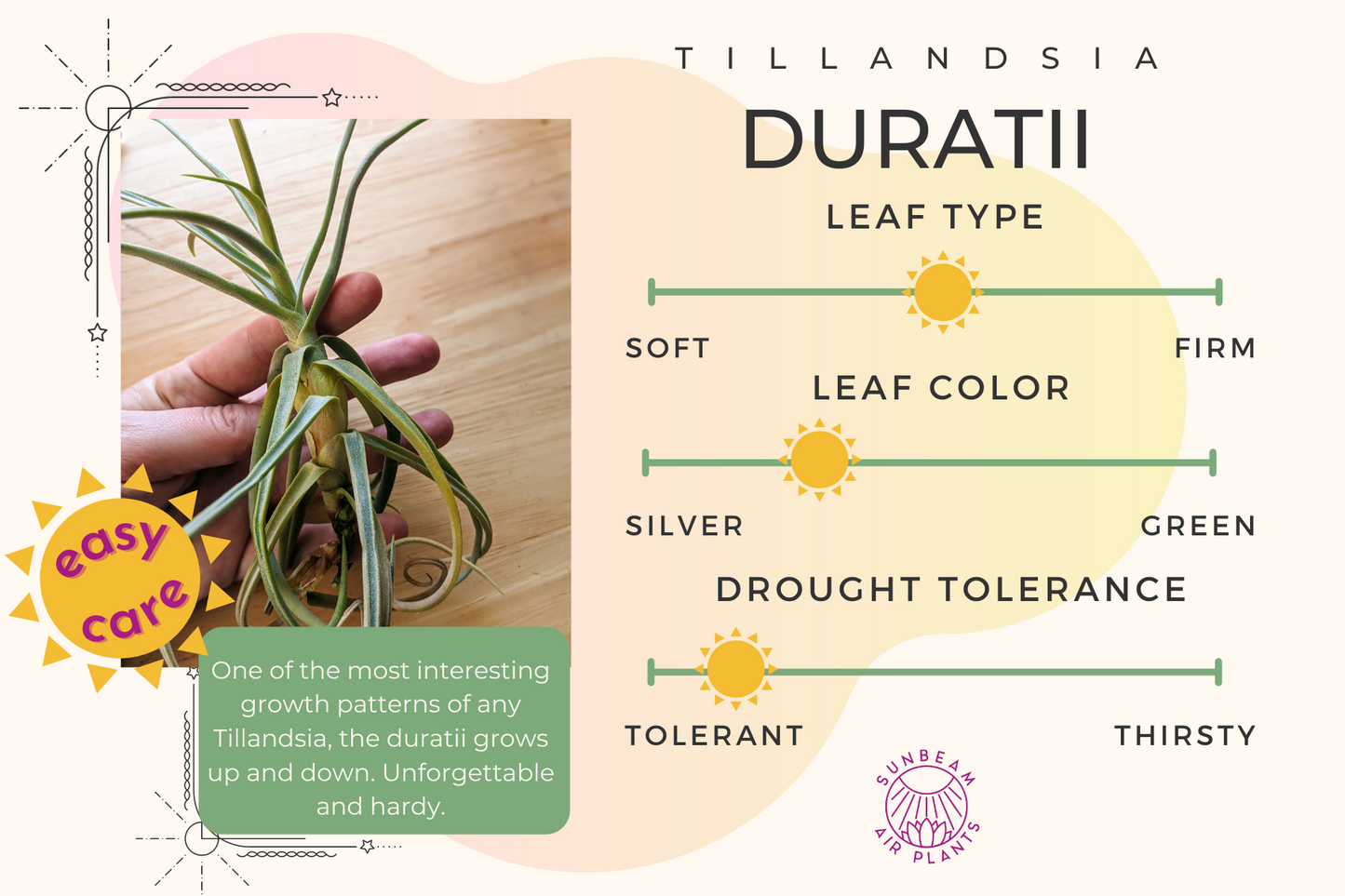 Duratii