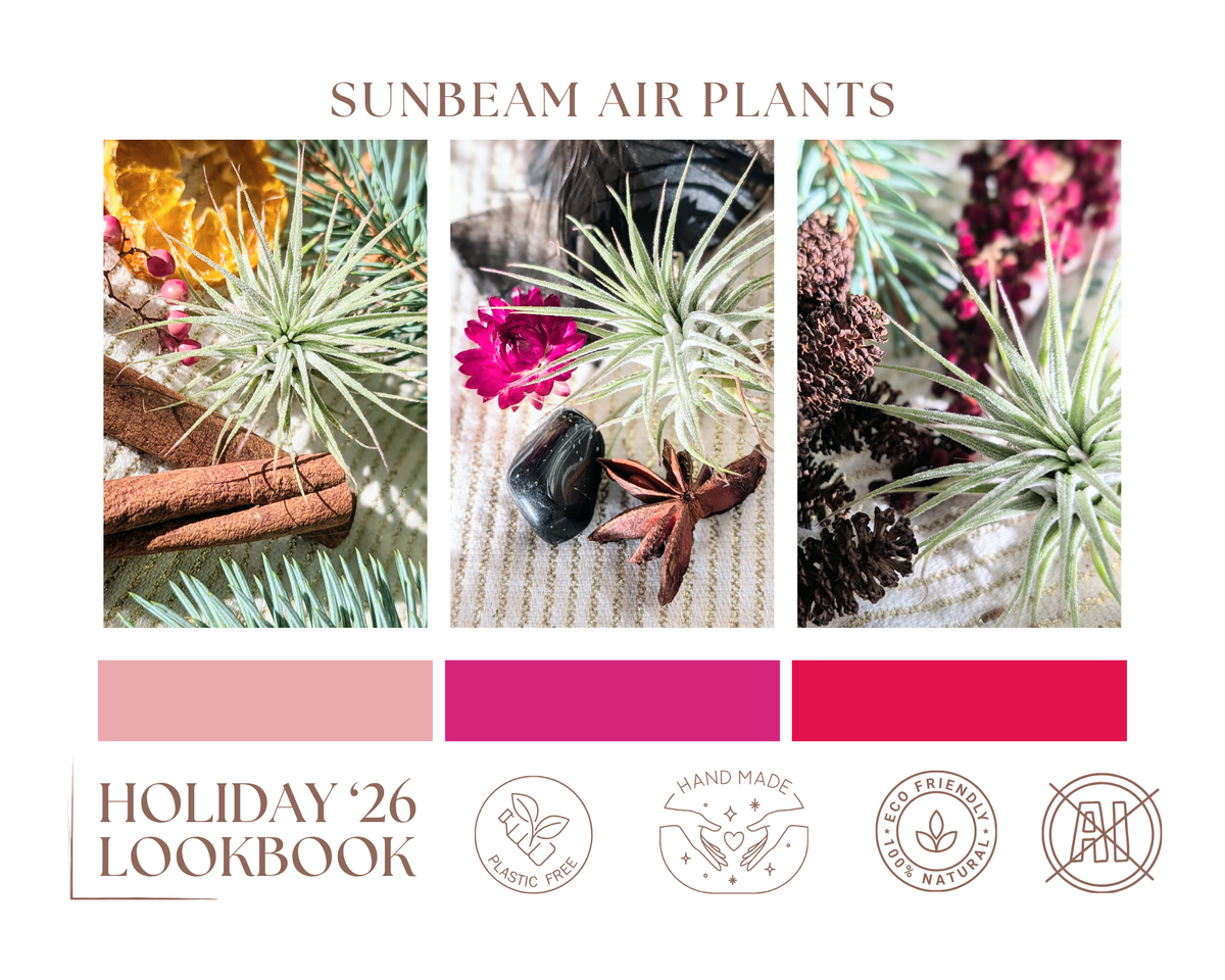 Holiday Wholesale | 2026