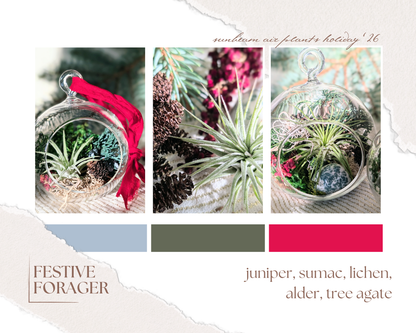 Holiday Wholesale | 2026
