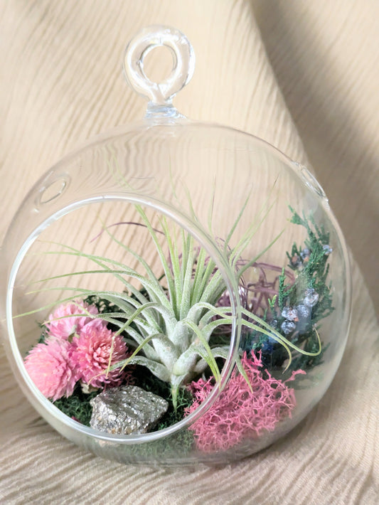 Terrarium | CHRISTMAS KITSCH | Holiday 2024