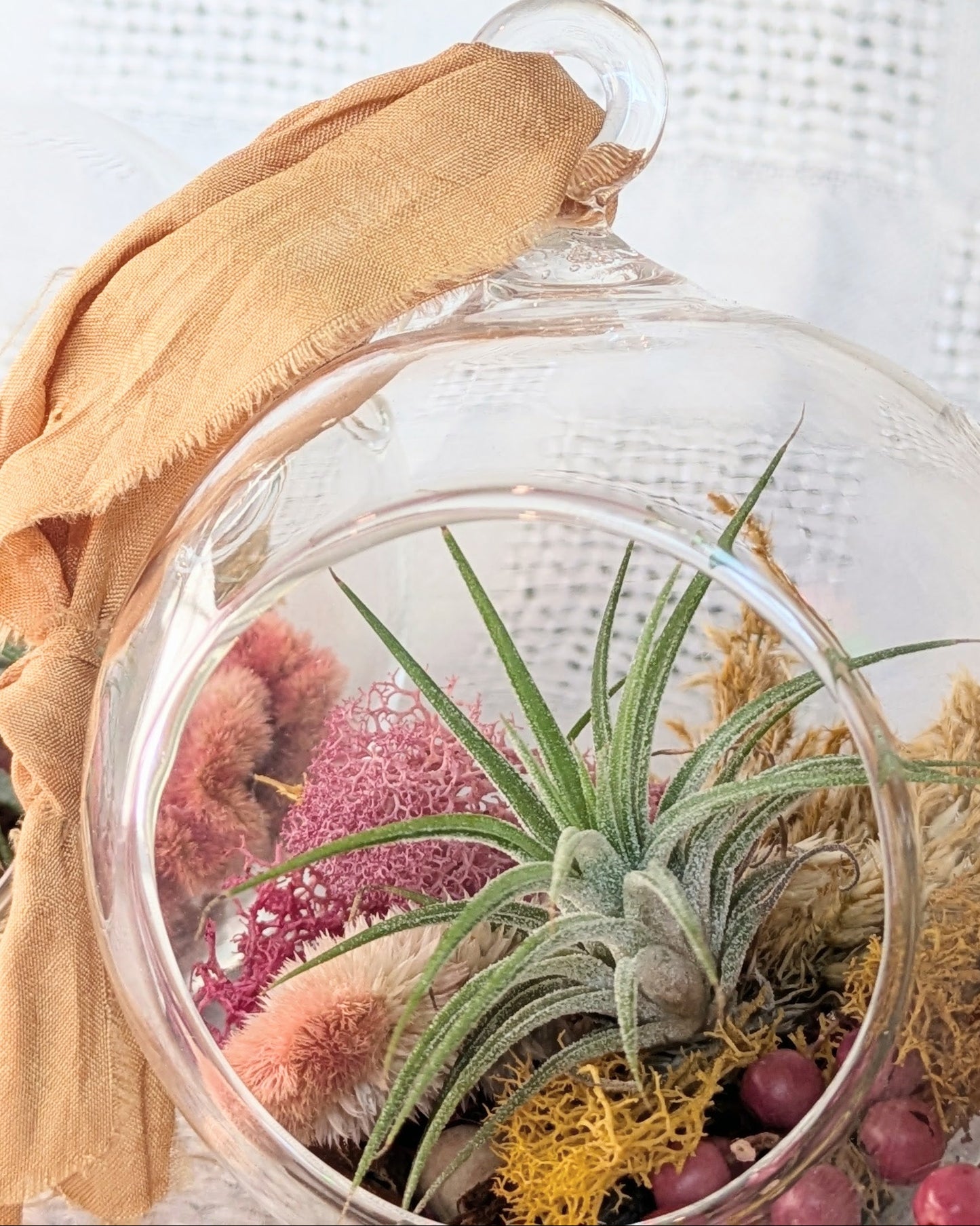 Glass terrarium with air plants and pink flowers on a textured surface