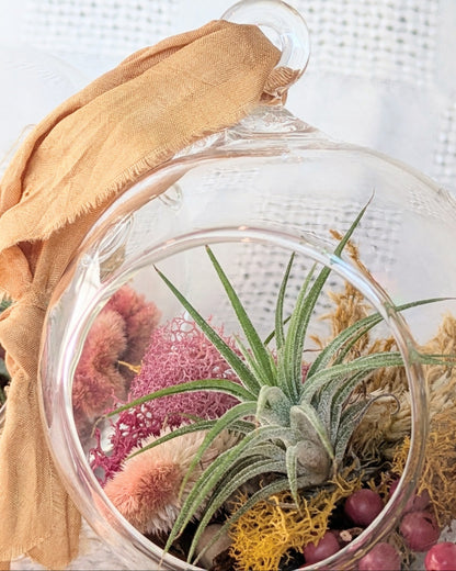 Glass terrarium with air plants and pink flowers on a textured surface