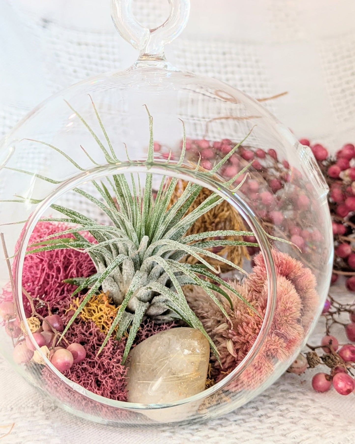 Glass terrarium with air plants and pink moss on a light background