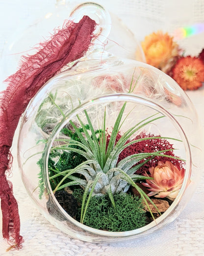 Air Plant Ornament | Hearth Flame