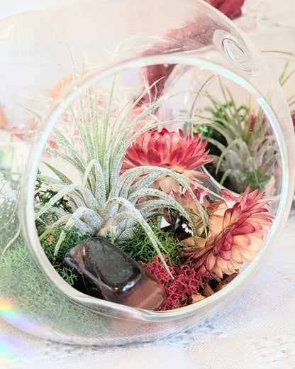 Air Plant Terrarium | Hearth Flame
