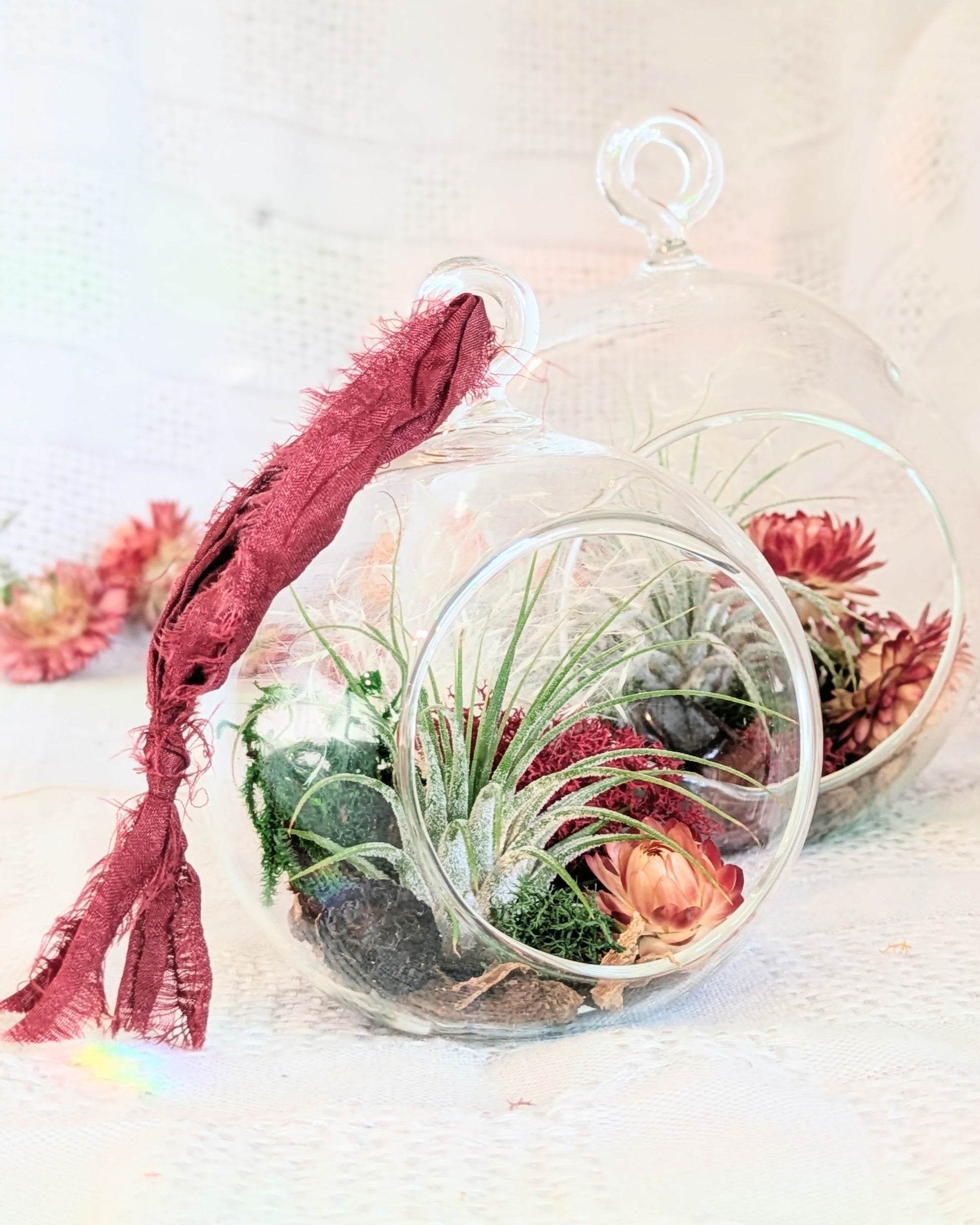 Glass terrarium with plants and a red fabric on a white background