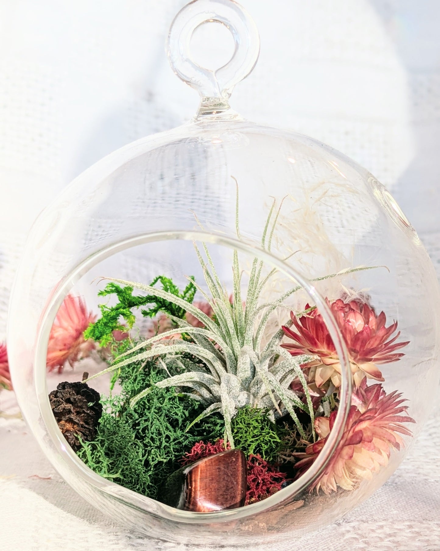 Air Plant Terrarium | Hearth Flame