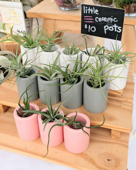 Mini Ceramic Pots