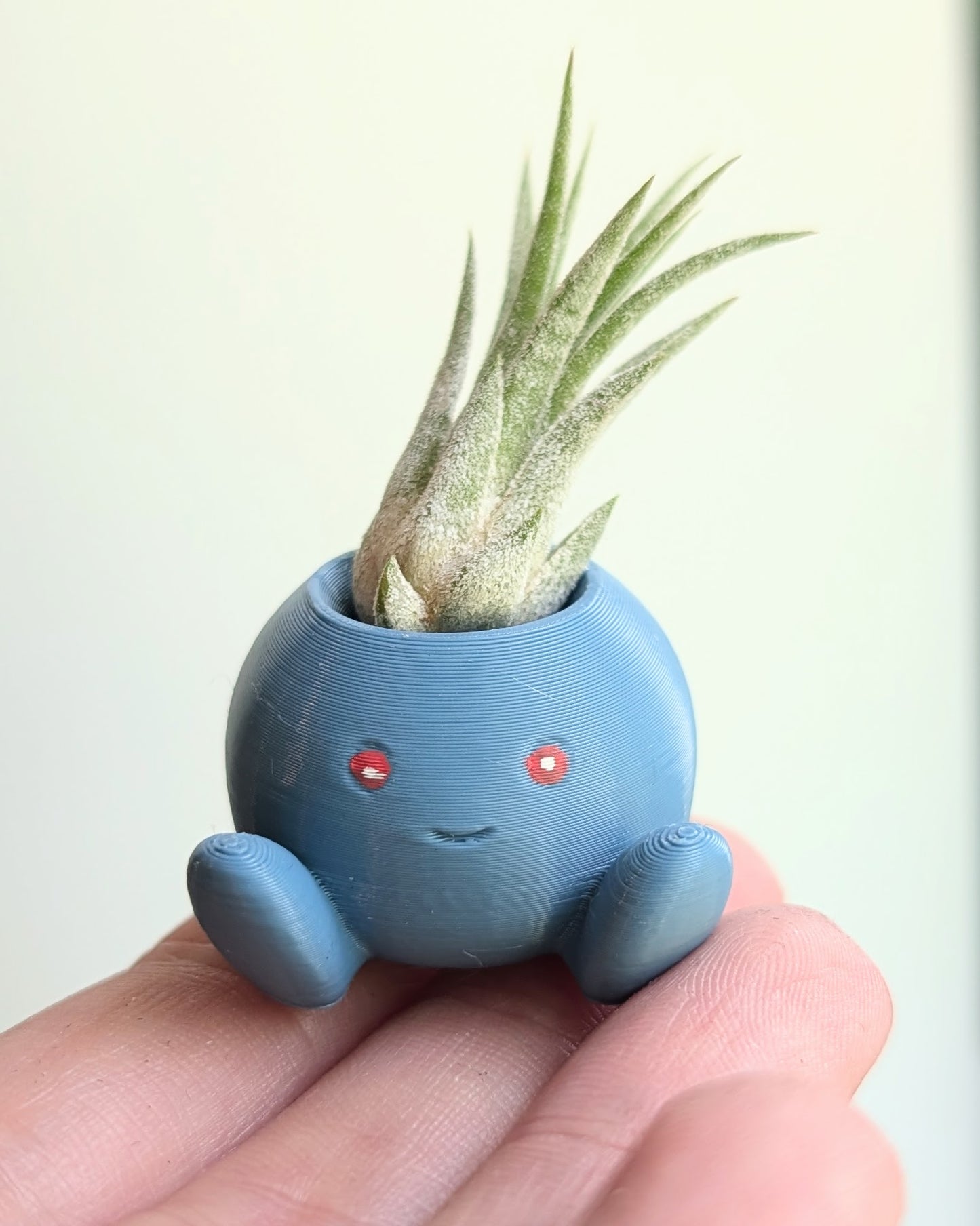 Odd Little Plant Monster Air Plant Holder