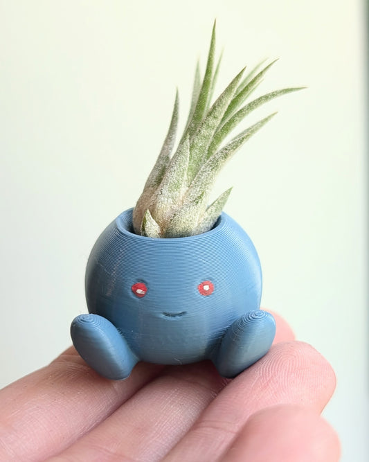 Odd Little Plant Monster Air Plant Holder