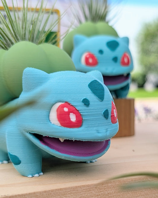 Bulba Monster Air Plant Holder