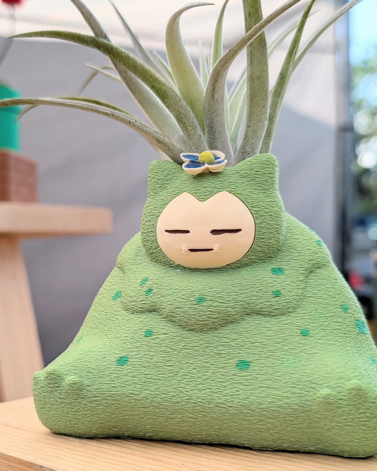 Moss Plant Monster Air Plant Holder