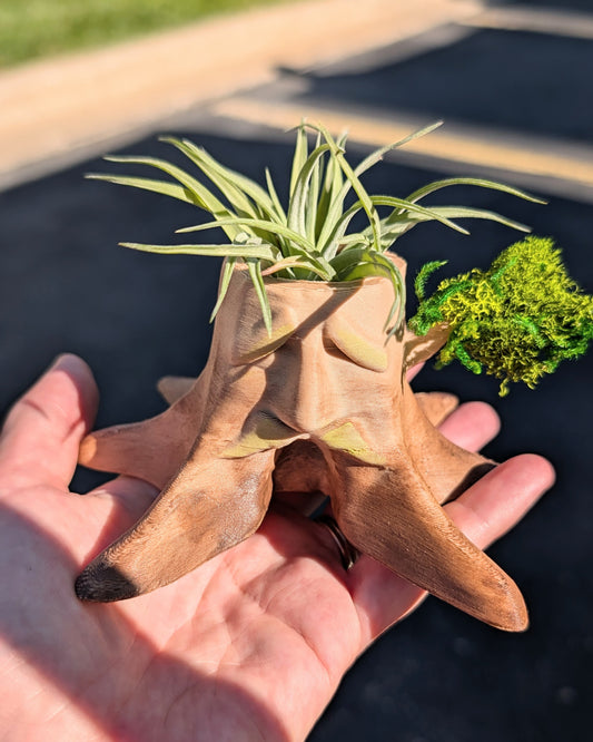 Wise Tree Air Plant Holder
