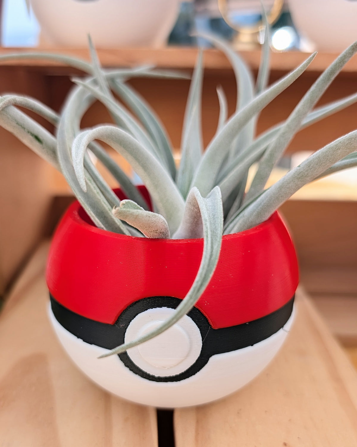 Plant Monster Ball Air Plant Holder