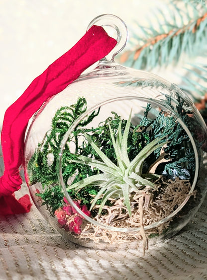 Holiday Wholesale | 2026