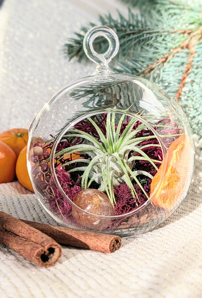 Holiday Wholesale | 2026