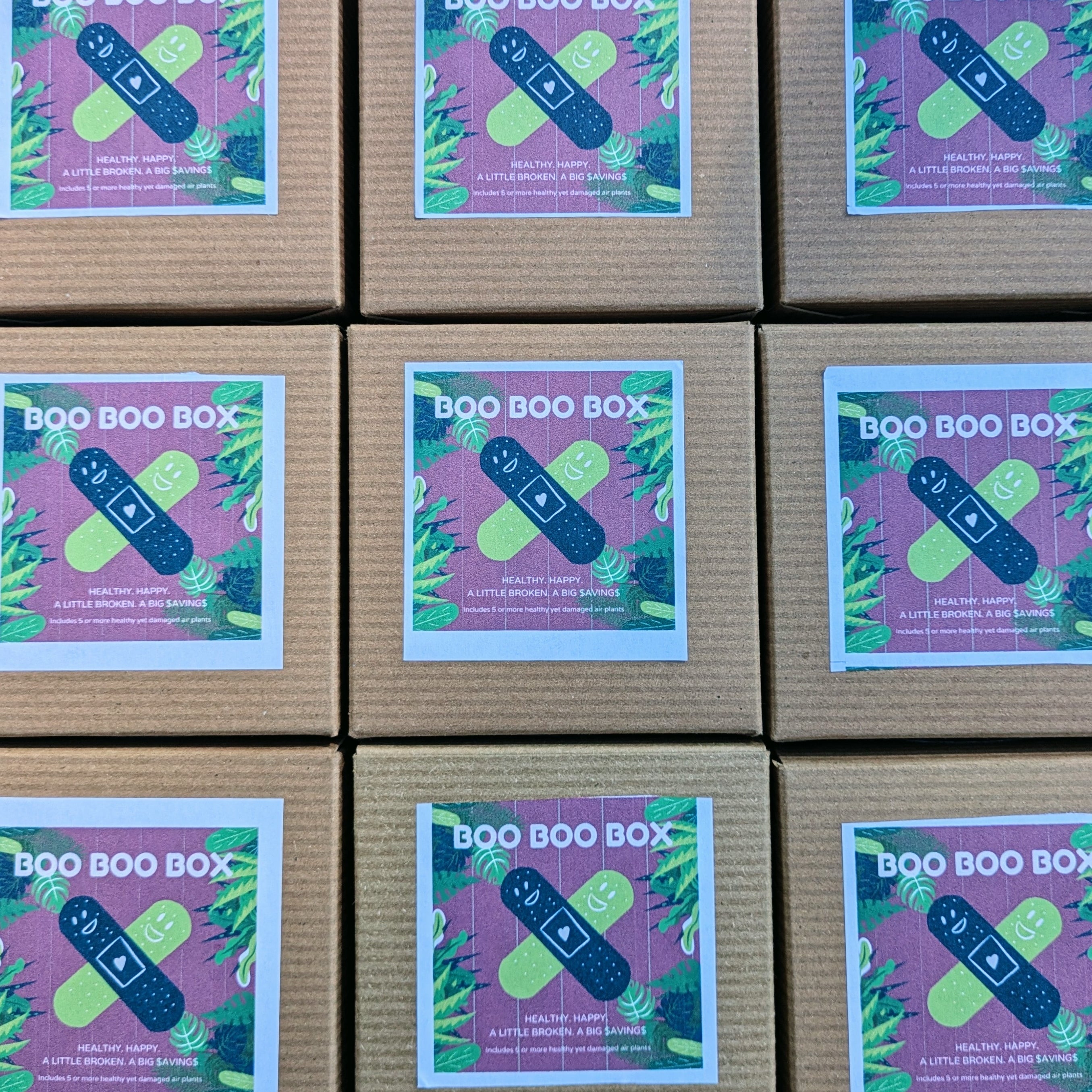 Boo Boo Box – Sunbeam Air Plants