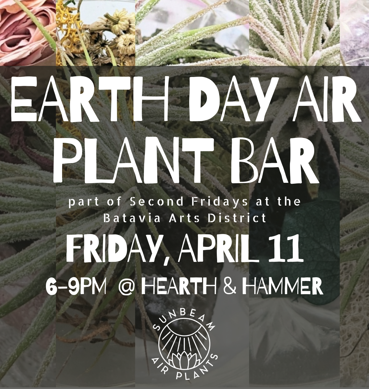 The Earth Day Air Plant Bar at Hearth & Hammer