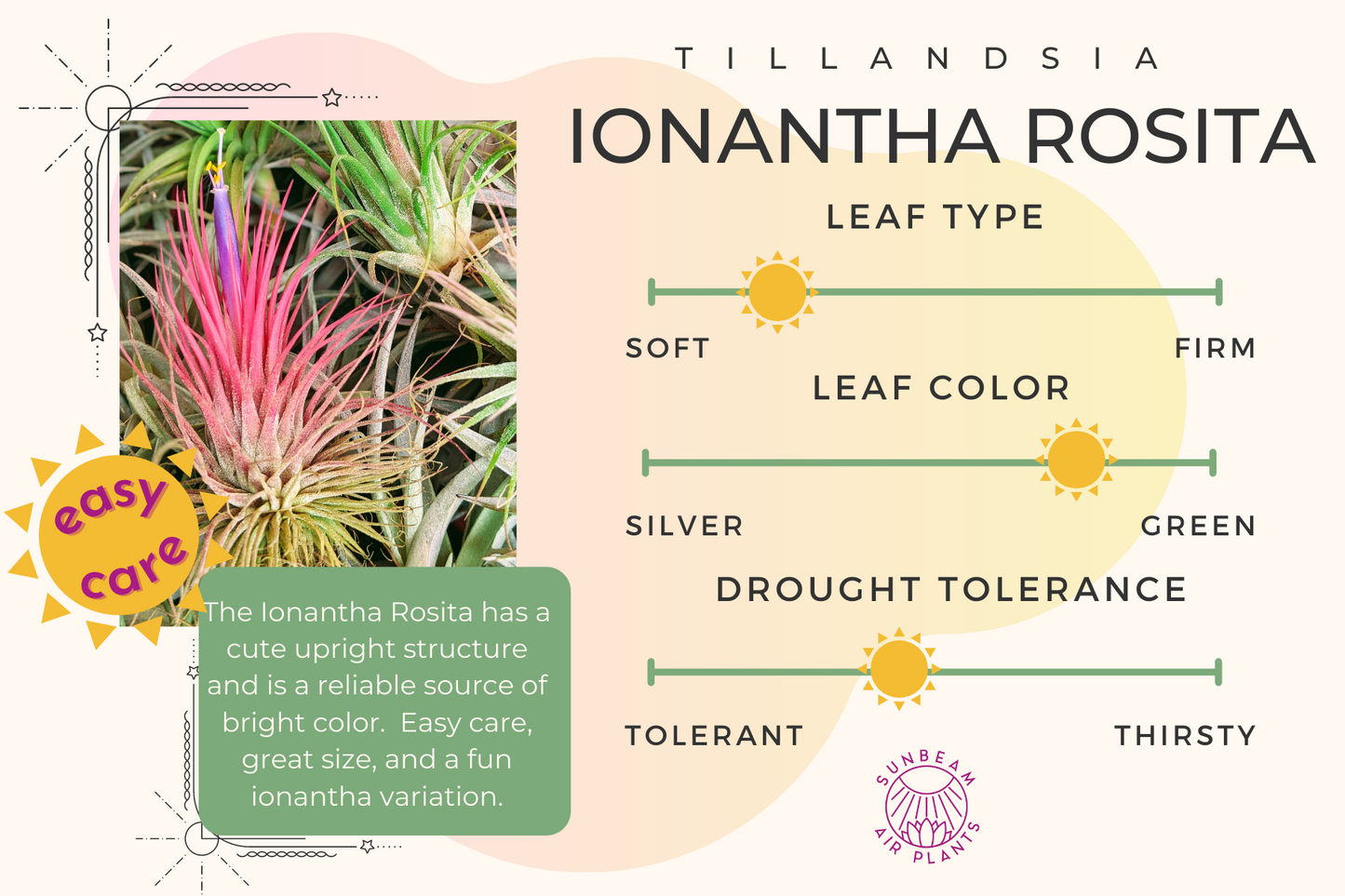 Ionantha